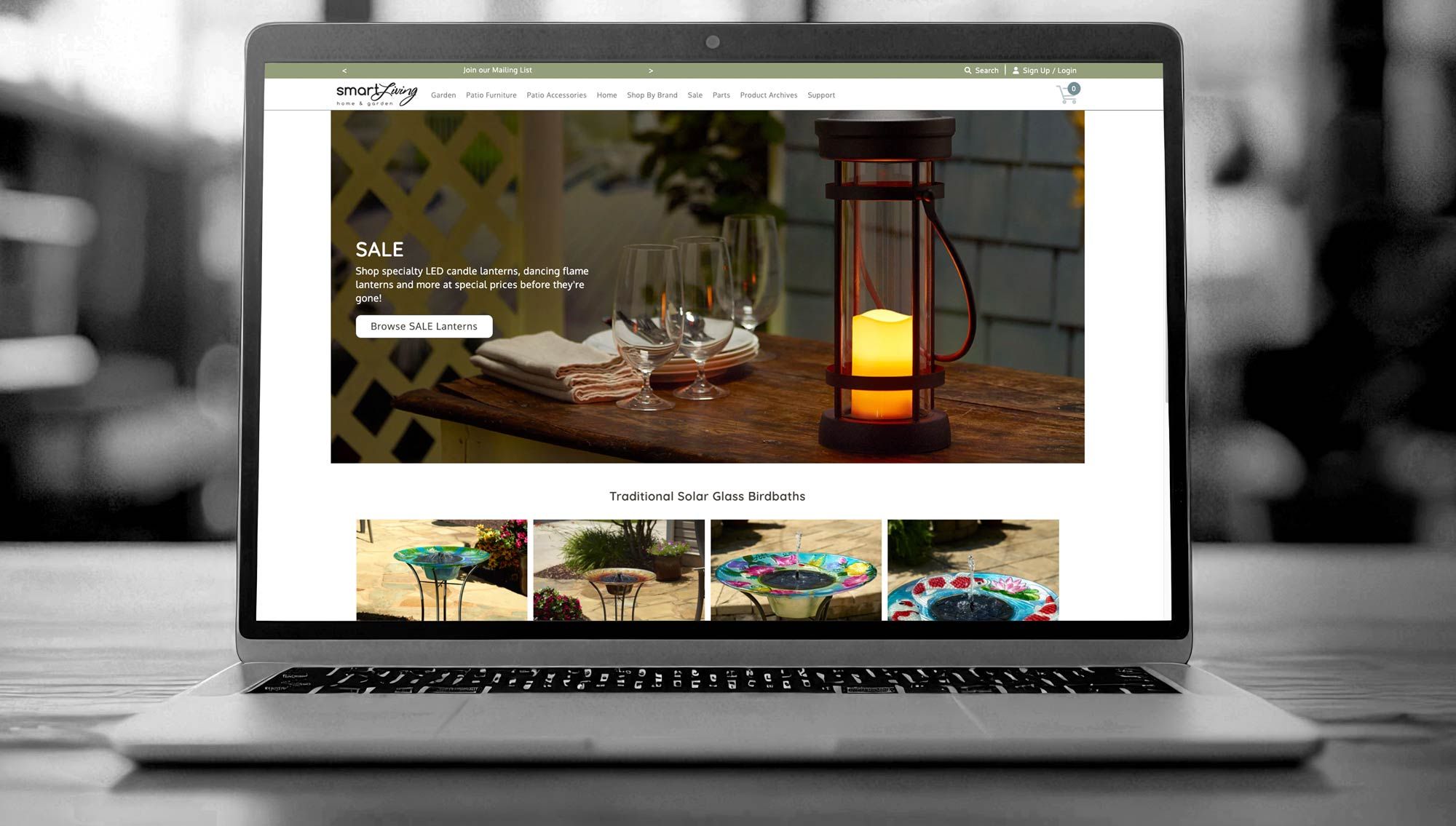 Web Design/Development, Branding, Packaging